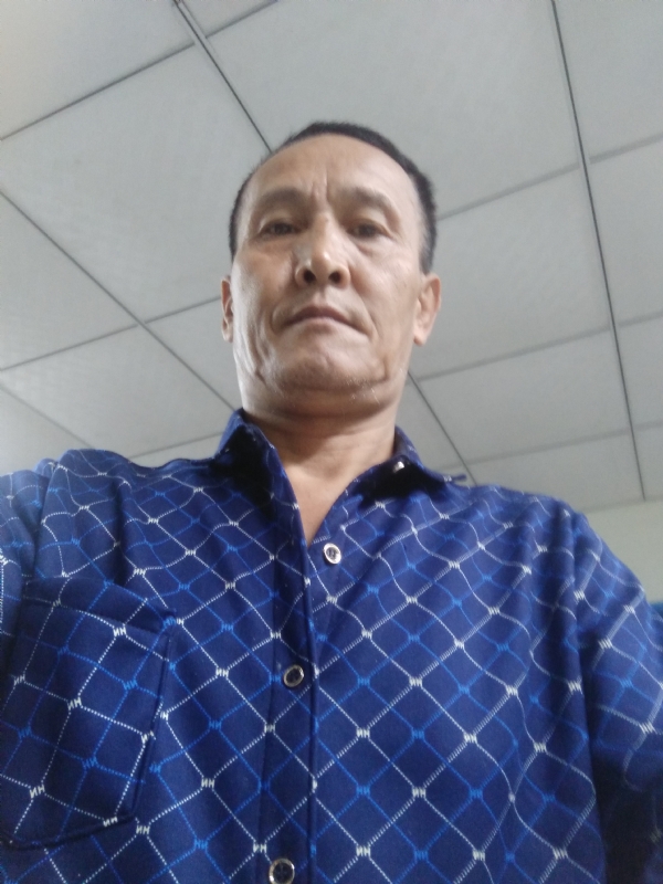 老树的第二张照片--华安征婚网