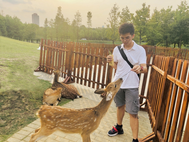 米兰的小铁匠的第一张照片--华安征婚网