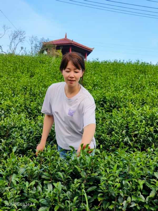 Q绮芳的第一张照片--华安征婚网